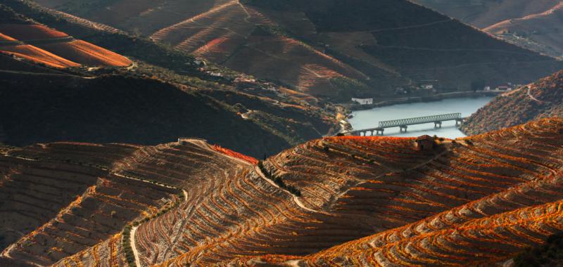 Viaje por el Duero portugués